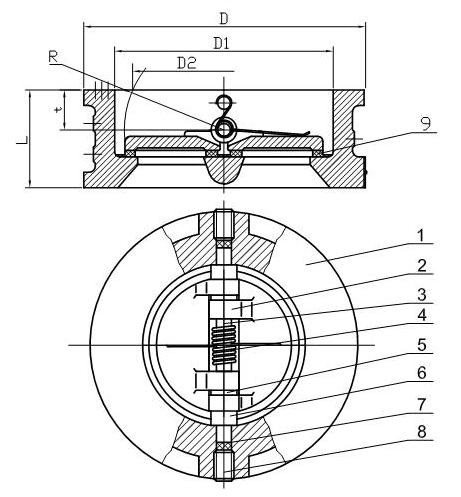 Cast Iron Duo Check Valve Construction