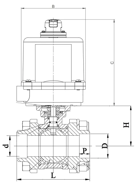 Socket weld ball valve electric actuated