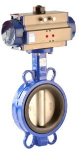 Butterfly Valve