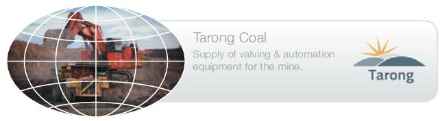 Process Systems Project Tarong Coal