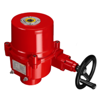 Modulating Explosion Proof Electric Actuator IECEx