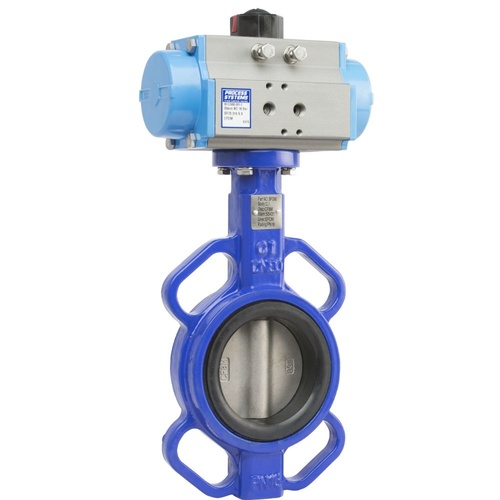 Cast Iron Spring Return Butterfly Valve with 316 Stainless Steel Disc