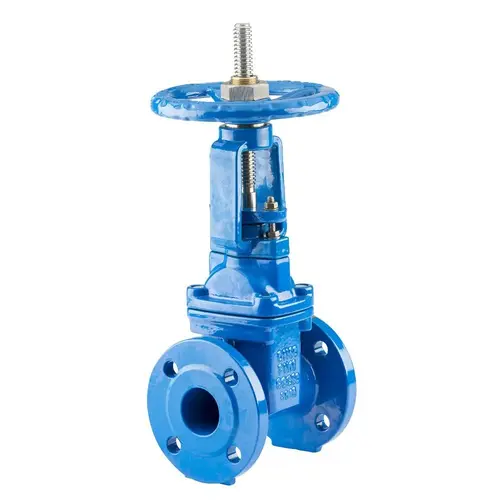 Rising Stem Resilient Seated Gate Valve